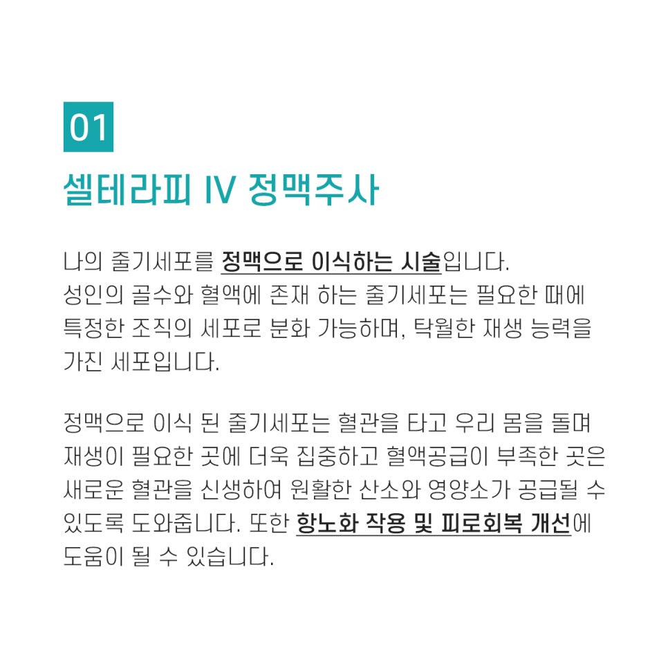 면역강화를 위한 프리미엄 웰에이징 프로그램! 줄기세포 인젝팅 샐테라피 관련 이미지 3