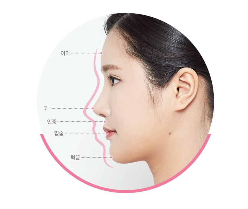 짧은코성형 들창코성형은 이렇게 해야합니다. 관련 이미지 2