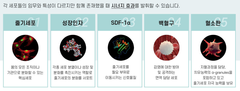 줄기세포 정맥주사로 통증 완화, 면역 증진, 피부 재생까지 한 번에! 관련 이미지 2