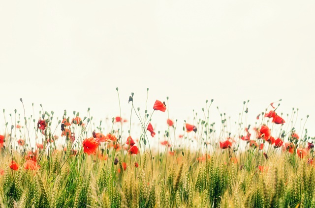 압구정라미네이트치료잘하는곳 제대로 알아보기! 관련 이미지 30