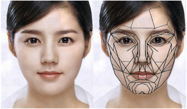 Doctor, Please Make My Face Shape Like a Celebrity’s! (Celebrity Proportions and Facial Contouring Surgery) image 4