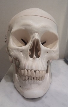 [Chin Correction Surgery] Implants and Genioplasty: Real Patient Cases and How They Work image 2