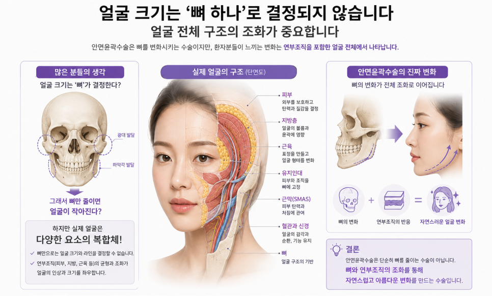 안면윤곽수술에서 얼굴 전체의 조화가 중요한 이유 관련 이미지 2