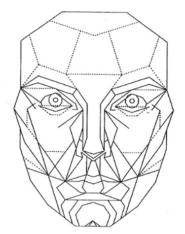 Doctor, Please Make My Face Shape Like a Celebrity’s! (Celebrity Proportions and Facial Contouring Surgery) image 3