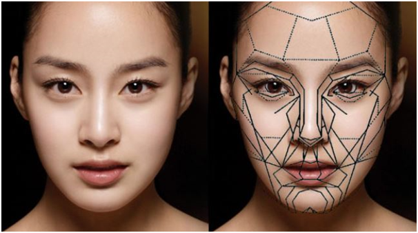 Doctor, Please Make My Face Shape Like a Celebrity’s! (Celebrity Proportions and Facial Contouring Surgery) image 5