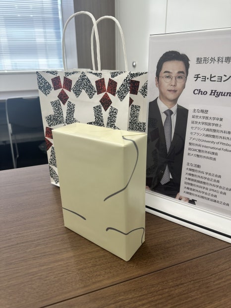 Facial Contouring Consultation Trip to Tokyo, Japan Vlog at Esthetic Plastic Surgery image 2