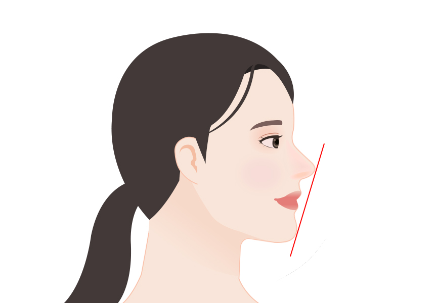 아름다운 얼굴의 옆선은 어떻게 완성이 될까요? 관련 이미지 12