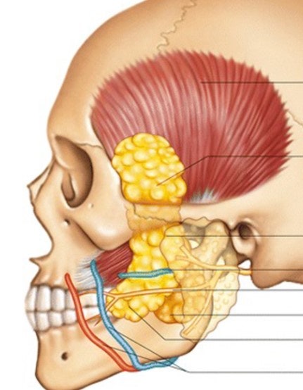 Amazing Changes Achieved with Contouring Facelift: A Facelift Technique That Even Addresses Asymmetry image 5