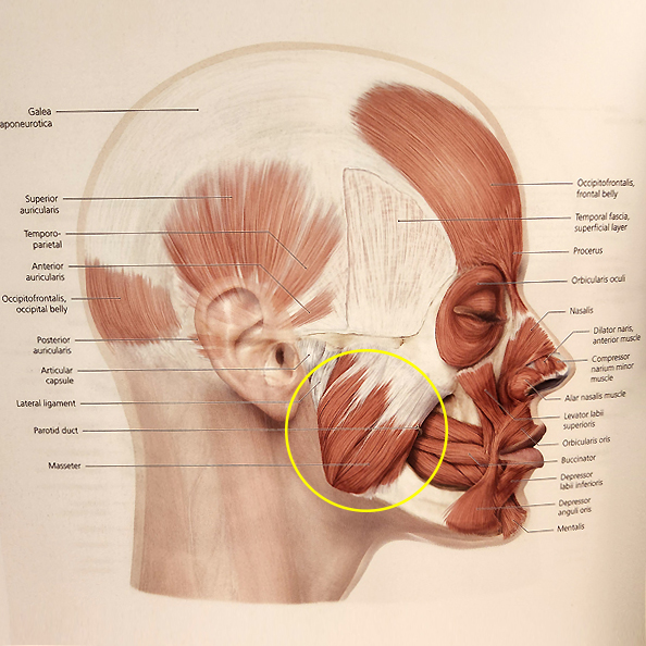 What uncomfortable symptoms can occur after chin surgery? image 4