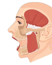 Could Difficulty Opening the Mouth After Contouring Surgery Be a Side Effect? image 5