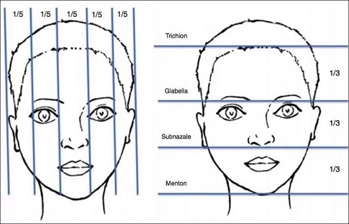 What Are the Features of a Youthful Face? Why Does a Small Chin Make a Face Look Younger? image 1