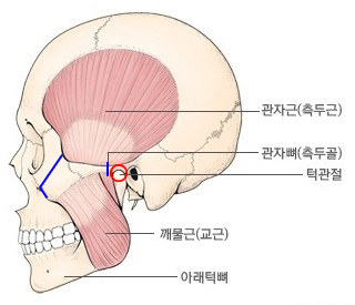 Could Difficulty Opening the Mouth After Contouring Surgery Be a Side Effect? image 4