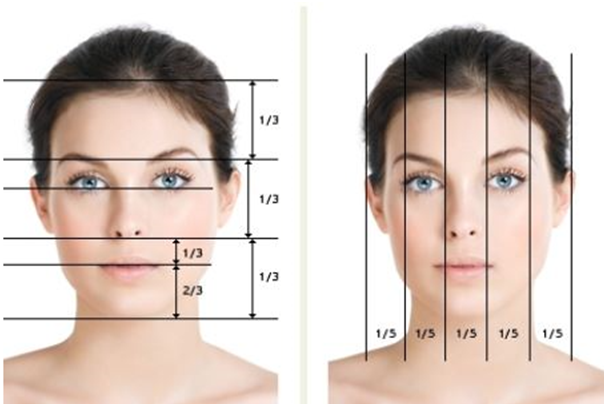 Doctor, Please Make My Face Shape Like a Celebrity’s! (Celebrity Proportions and Facial Contouring Surgery) image 2