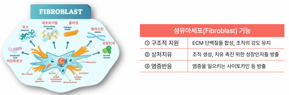 최근 핫한 스킨부스터는 어떤 게 있을까? 관련 이미지 2