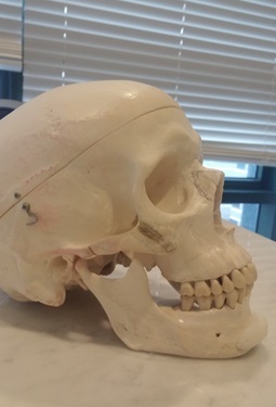 [Chin Correction Surgery] Implants and Genioplasty: Real Patient Cases and How They Work image 3