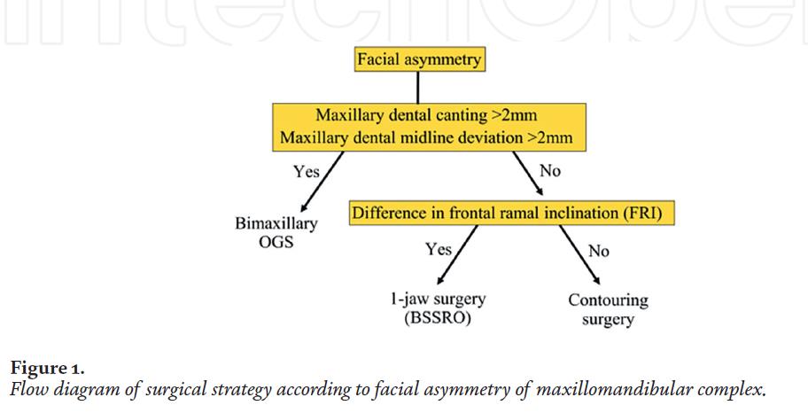 [Paper Review] Technological Advances and Real-World Applications in Modern Facial Contouring Surgery: Correction of Facial Asymmetry image 2