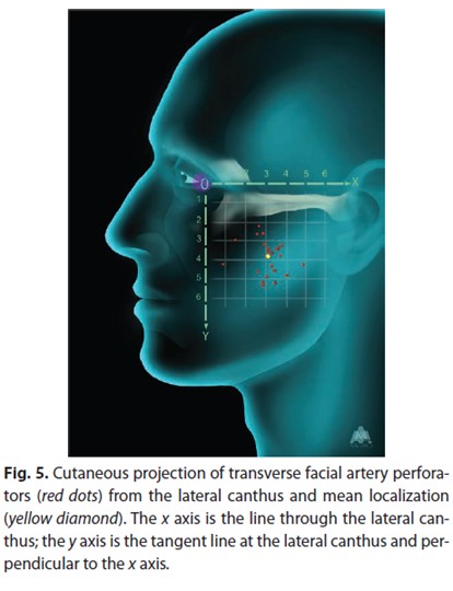 How effective is the incision method compared to the non-incision method for cheek hollow correction? image 9