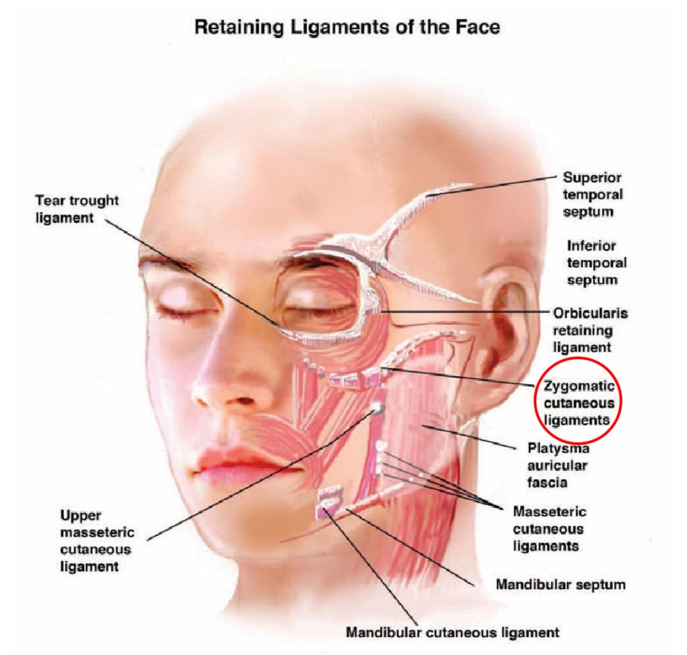 Side Effects That May Occur After Contouring Surgery and the Appropriate Solutions image 3