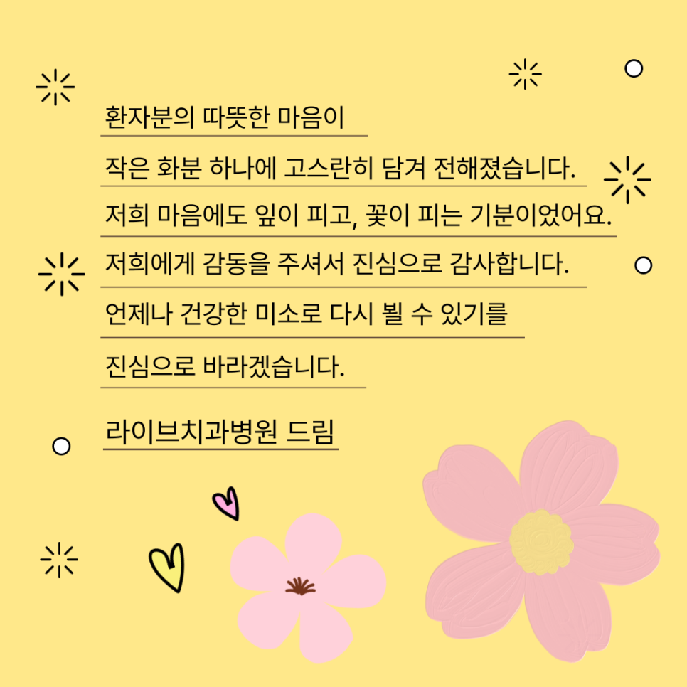 싱그러움 가득한 환자분의 선물 관련 이미지 3