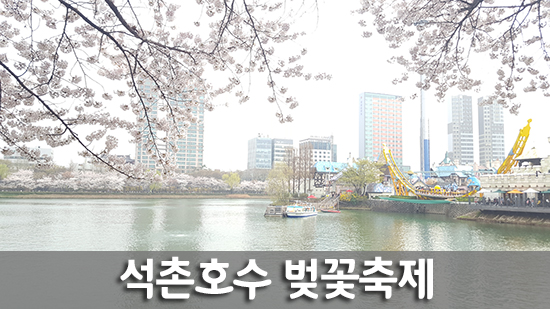 석촌호수 벚꽃축제를 처음으로 다녀왔습니다! 관련 이미지 1