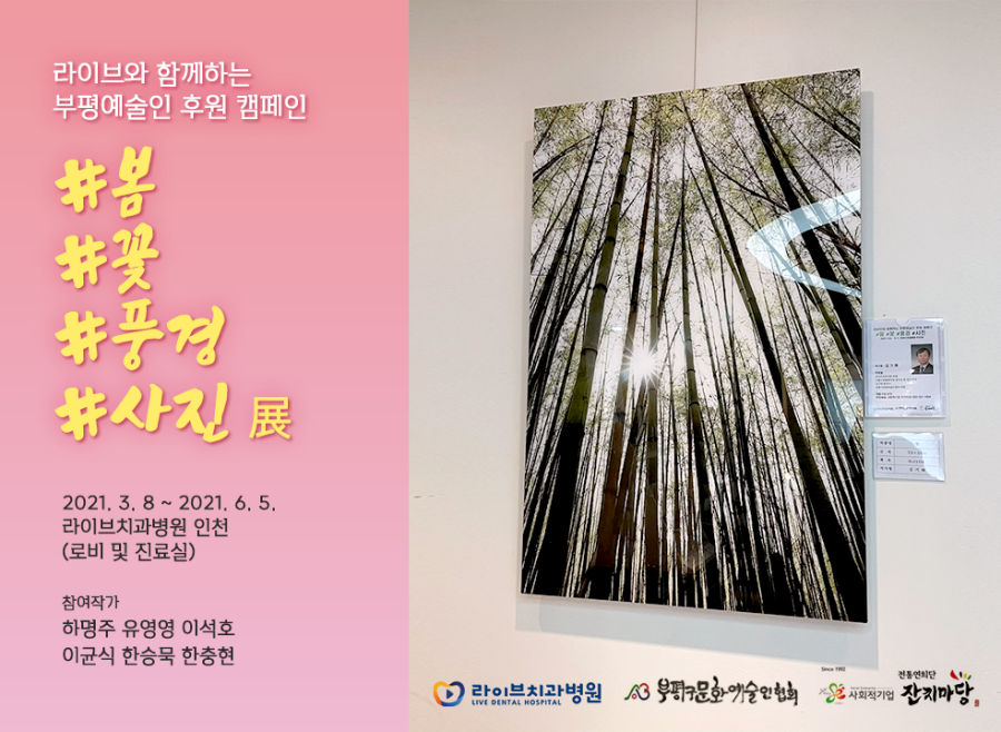 #봄#꽃#풍경#사진 전(展)｜라이브치과 부평예술인 후원캠페인 세번째 이야기 관련 이미지 1