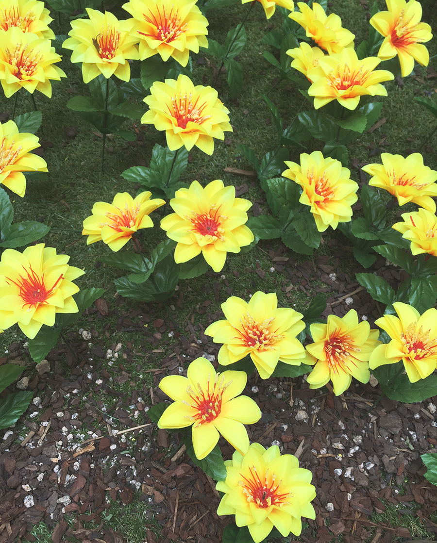 며니의 소소한 주말 이야기 관련 이미지 4