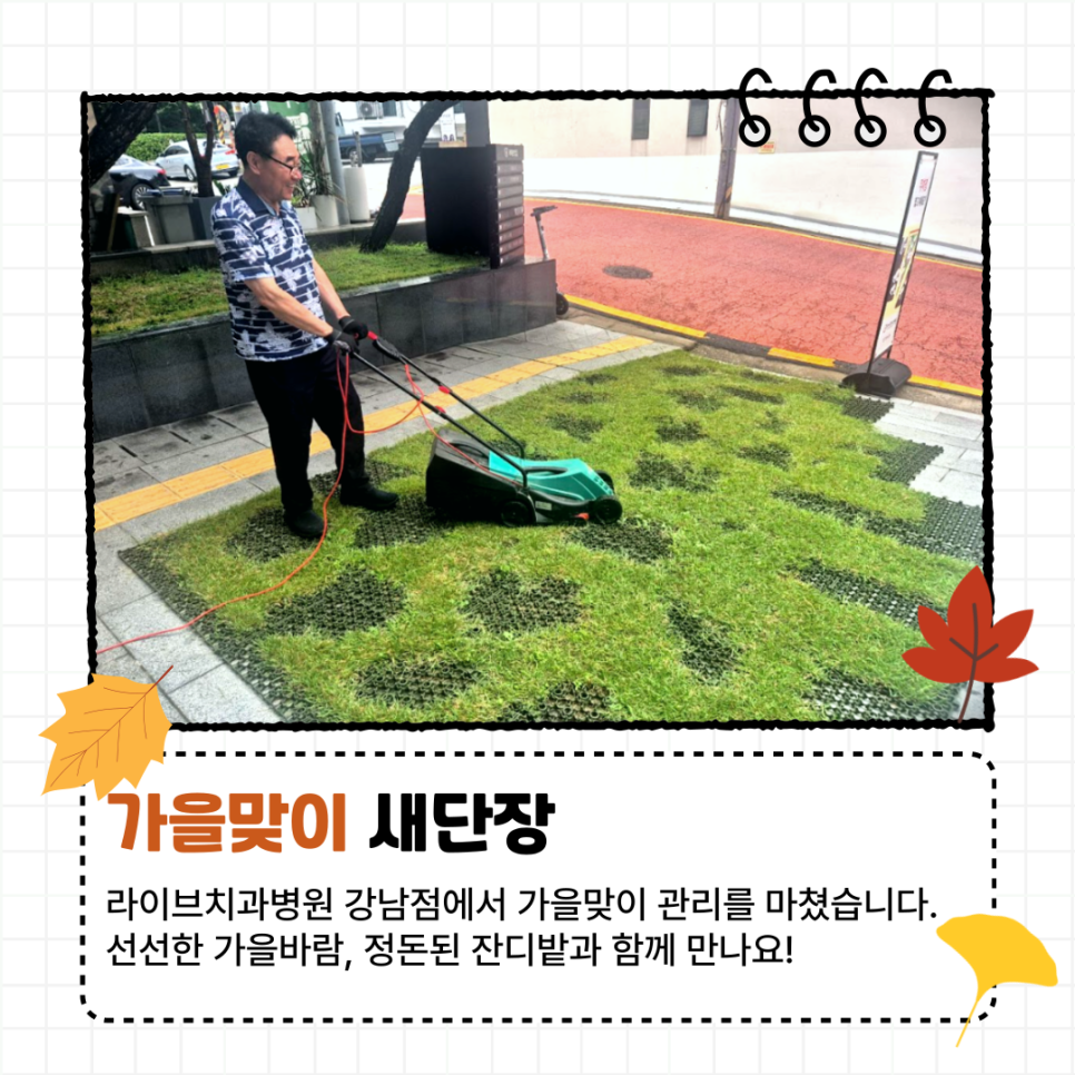 라이브치과병원 강남점 앞마당에서 가을바람 느껴봐요! 관련 이미지 2