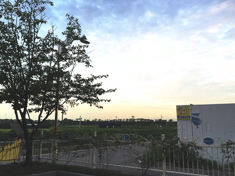 주말, 문학야구장 주변을 맴돈 며니 관련 이미지 1