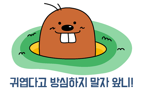 앞니부분교정, 자신감을 찾는 지름길 관련 이미지 4