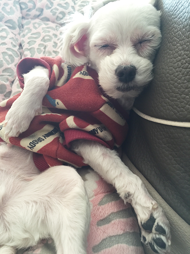 주말엔 아이라인과 빈둥빈둥 관련 이미지 4