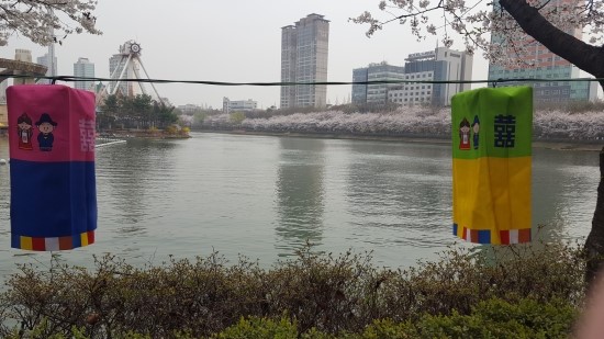 석촌호수 벚꽃축제를 처음으로 다녀왔습니다! 관련 이미지 8