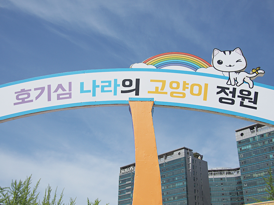 고양 꽃 박람회 2탄~ 관련 이미지 1