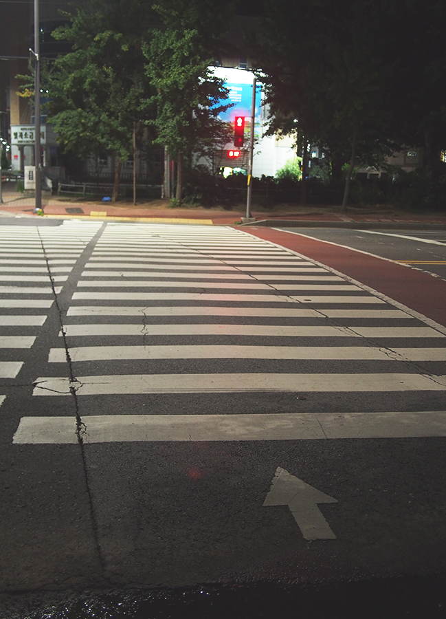 카메라가 돌아와서 기쁜 며니의 야간 사진파티 관련 이미지 9