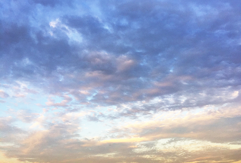 주말, 문학야구장 주변을 맴돈 며니 관련 이미지 2