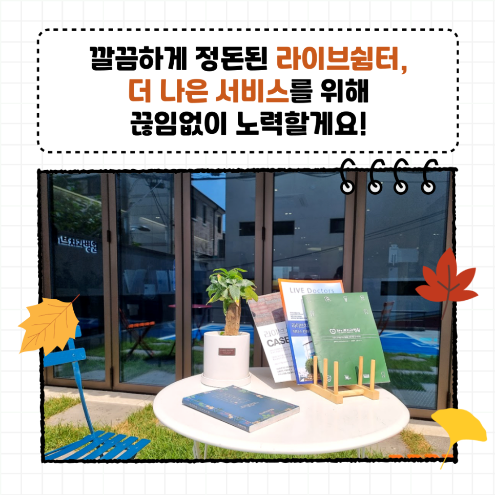 라이브치과병원 강남점 앞마당에서 가을바람 느껴봐요! 관련 이미지 3