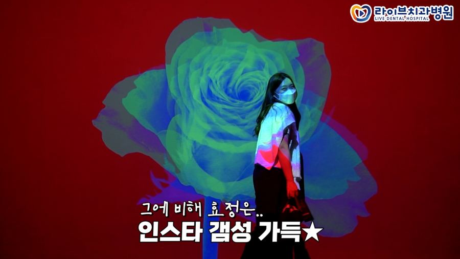 치과위생사 찐친들의 아르떼뮤지엄 관람기[제주 여행 VLOG🏝️]ep.05｜치위생사 브이로그 관련 이미지 5