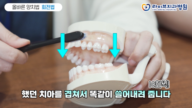 충치를 피할 수 있는 가장 쉽고 빠른 방법! [라이브치과병원｜올바른 양치법 - 회전법&바스법] 관련 이미지 3