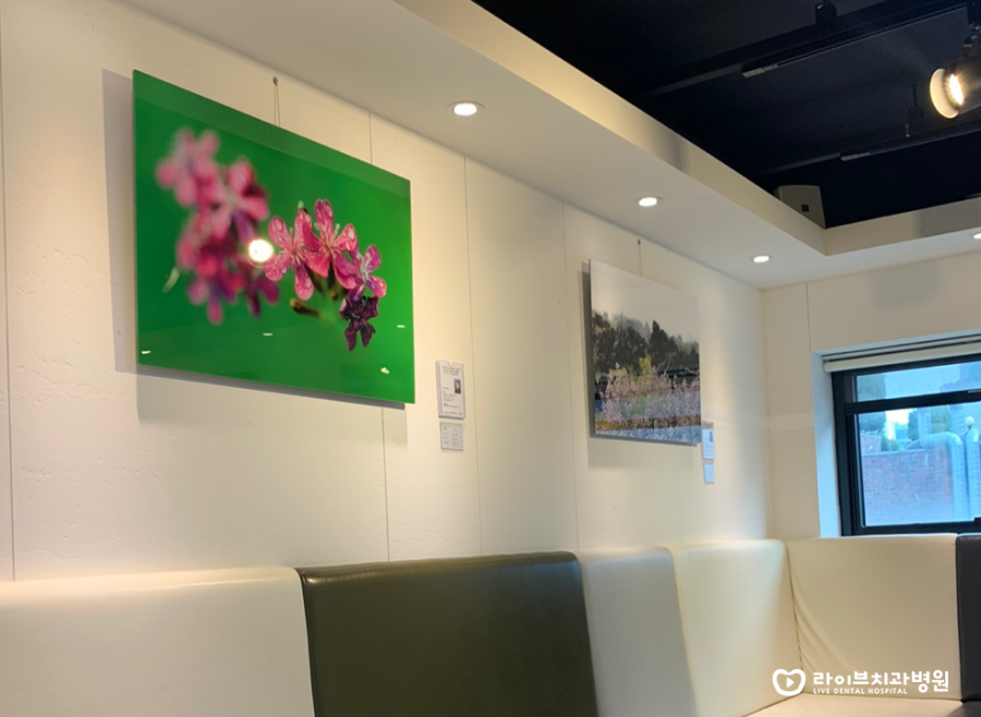 #봄#꽃#풍경#사진 전(展)｜라이브치과 부평예술인 후원캠페인 세번째 이야기 관련 이미지 6