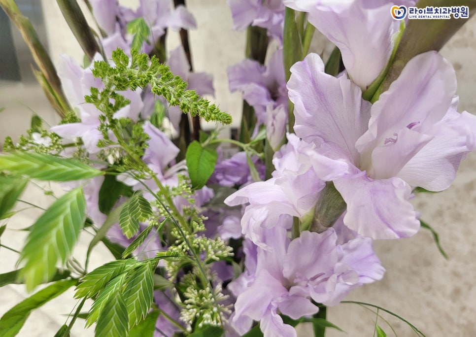 라이브치과 강남점에서 꽃과 함께 대기하세요&hearts; 관련 이미지 3