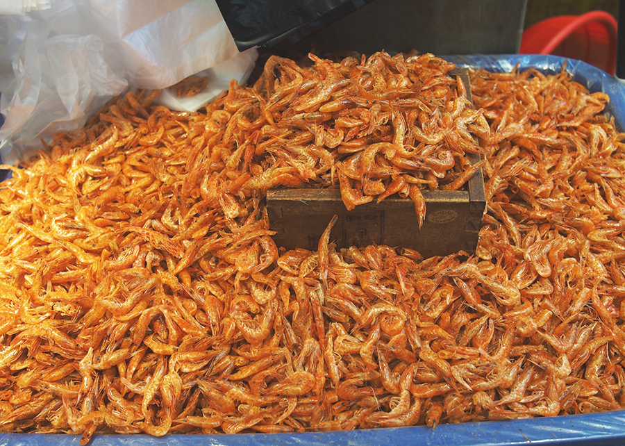 외포리에서는 새우젓 축제가 한창~ 새우파티! 관련 이미지 11