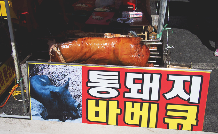 외포리에서는 새우젓 축제가 한창~ 새우파티! 관련 이미지 3