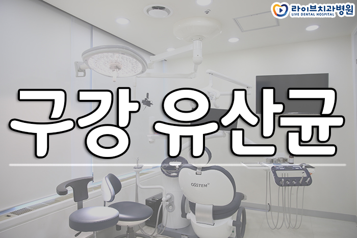 구강유산균 효능이 뭘까 관련 이미지 1