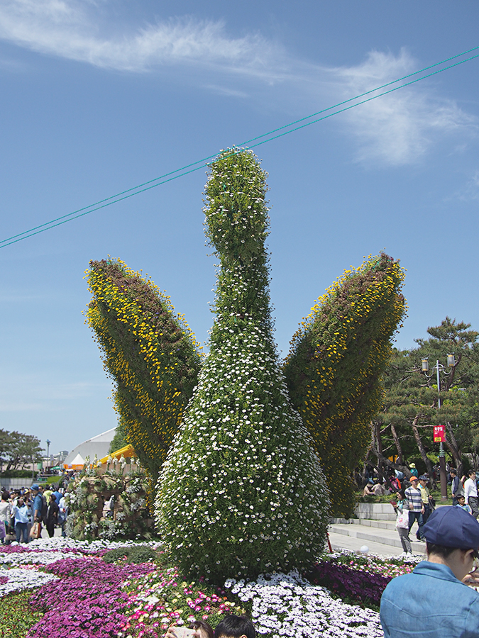 고양 꽃 박람회 2탄~ 관련 이미지 4