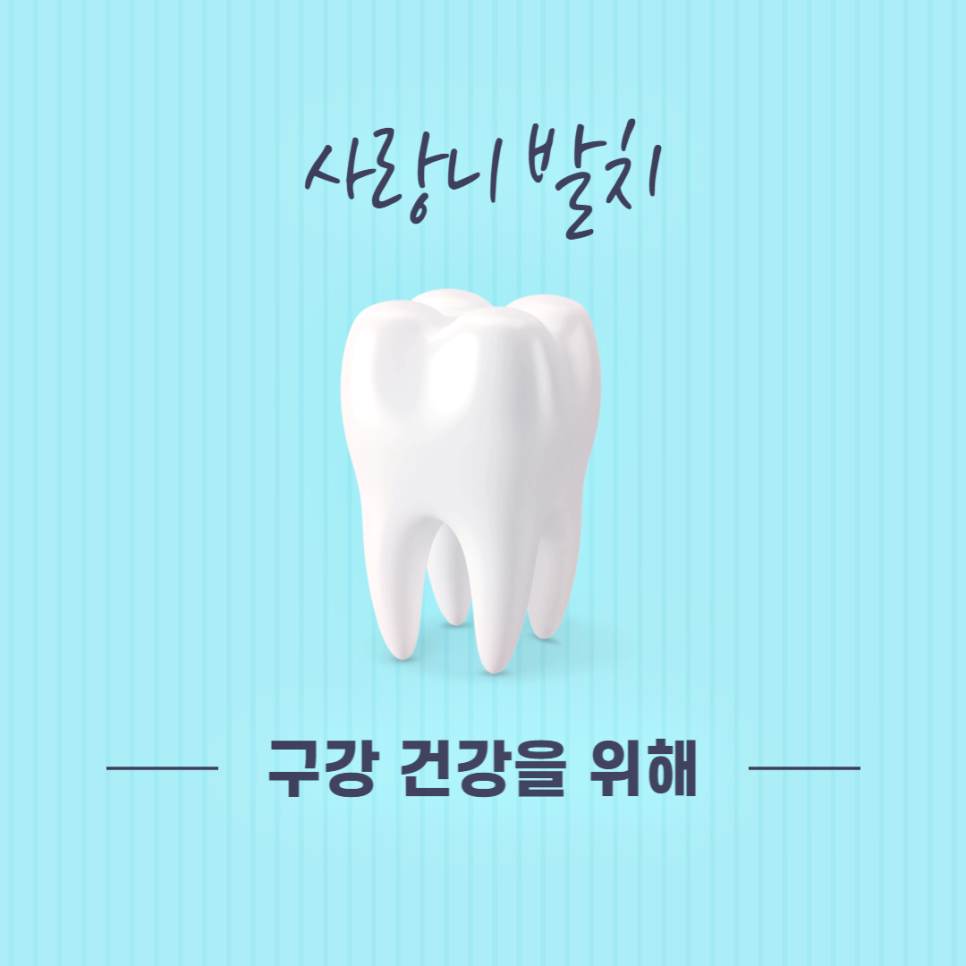 사랑니발치 뽑아야 할까요? 관련 이미지 4
