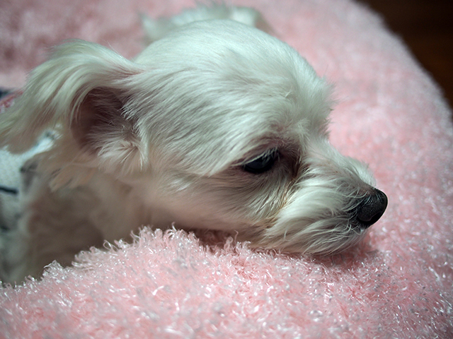 E-P5의 디테일샷과 테스트샷 관련 이미지 11