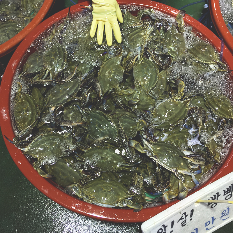 꽃게철이 왔다고 합니드아! (대명항 나들이) 관련 이미지 4