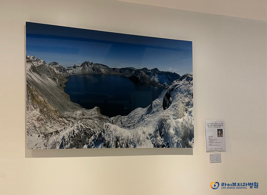 #봄#꽃#풍경#사진 전(展)｜라이브치과 부평예술인 후원캠페인 세번째 이야기 관련 이미지 7