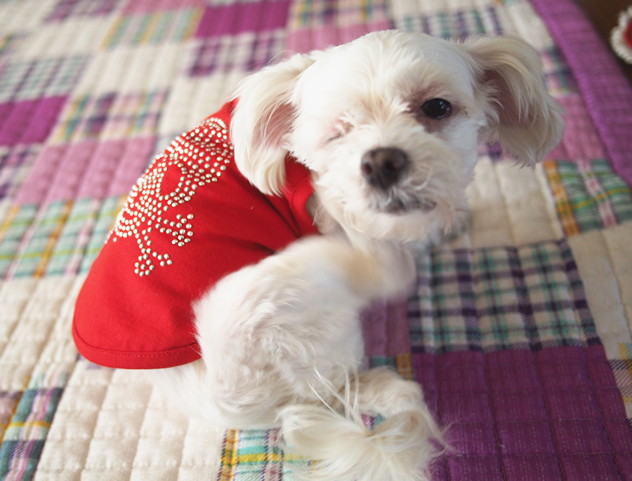 며니의 B컷 시즌2 관련 이미지 4