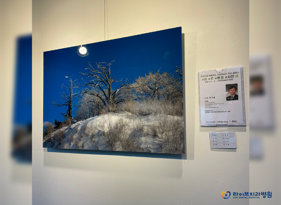 #봄#꽃#풍경#사진 전(展)｜라이브치과 부평예술인 후원캠페인 세번째 이야기 관련 이미지 9