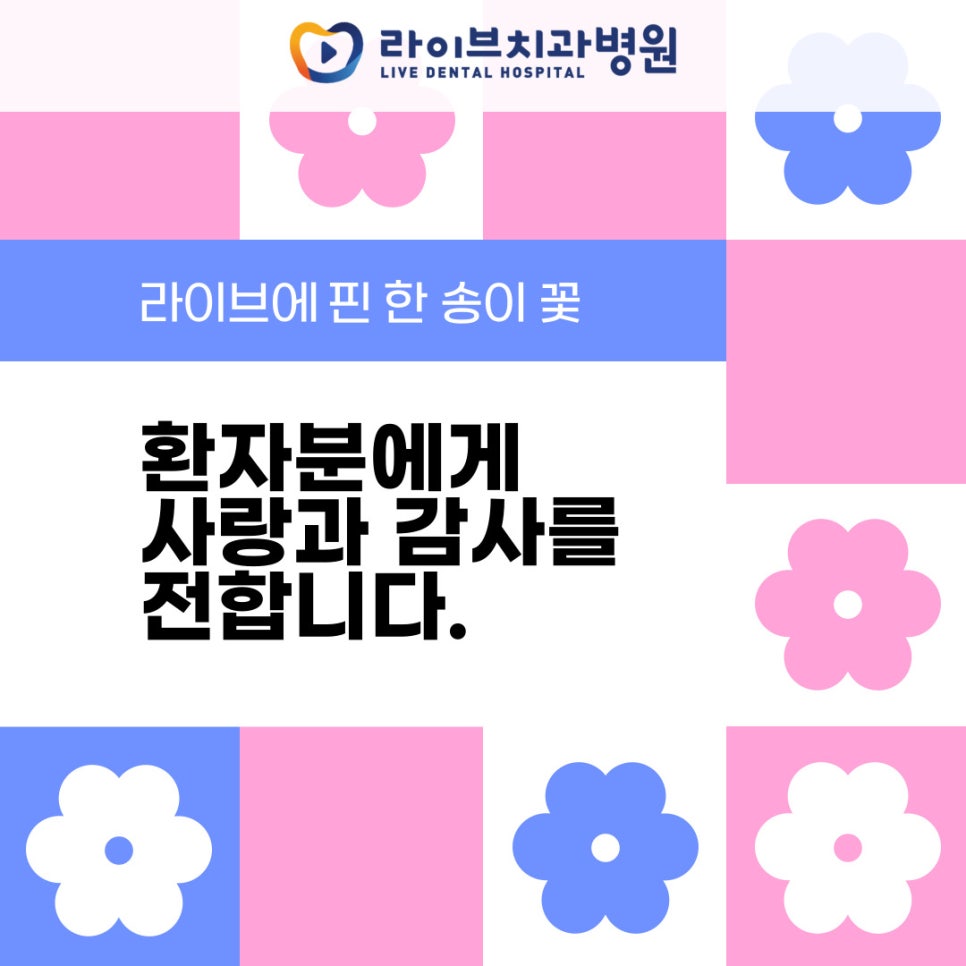 라이브에 핀 한 송이 꽃 관련 이미지 1